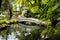 Stone Bridge in a Beautiful Garden at Monte above Funchal Madeira