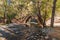 Stone bridge..Cyprus