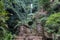 Stone bridge, deep gorge with tropical green plants. Waterfall in distance.