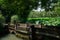 Stone bridge in lotus pond on sunny summer day