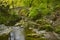 Stone bridge over a river in Northern Ireland