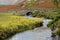 Stone bridge over river by Wastwater