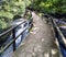 Stone bridge over a small dam of the mountain river called Anllons. River with shores covered with oaks, typically Atlantic fores