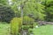 Stone bridge over stream in landscaped english garden