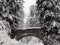 Stone Bridge Surrounded by Snowy Evergreen Trees