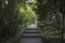 Stone bridge under bamboo grove