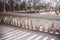 A stone bridge at Vajdahunyad Castle in the city park Budapest, Hungary