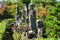 Stone Buddhas at Japanese temple, Kyoto Japan