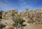 Stone cabin ruins