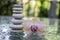 Stone cairn on green blurry background, light pebbles and stones, orchid blooming flower