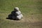 Stone cannonballs in Rhodes-City in front of a fort