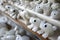 Stone carved frogs for sale in the Witches\' Market in La Paz in Bolivia.