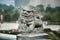 Stone carving lion in China