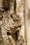 Stone carving of smiling tiger or lion face, Hanoi, Vietnam