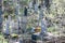 Stone cemetery grave monuments closeup view