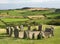 Stone Circle