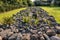 Stone circle ancient graveyard in Skelde south Denmark