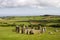 Stone Circle at Drombeg