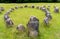 Stone circle at the major Viking burial site in Lindholm Hills in northern Denmark