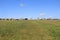 Stone Circle - Merry Maidens, Penwith Peninsula, Cornwall, UK