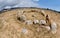 Stone circles in Cholpon Ata open air museum with ancient rock paintings, Issyk-Kul lake shore, Kyrgyzstan,Central Asia,unesco her