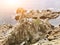 Stone cliffs by the ocean. morning sea landscape with sunlight