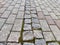 Stone, cobblestone or bricks pavement texture and background. Old World Charm. Abstract pattern, frame, place for text