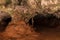 Stone columns in Quadiriki cave, Aruba. Multi-colored. Open cavern in background.