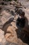 Stone courtyard Potholes in nature erosion by the currents, gravel swirled and eroded for millions of years