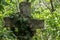 stone cross with ivy