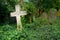 Stone cross in an overgrown neglected graveyard