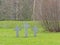 Stone crosses in a field, detail of Maarjamae Memorial to those who had fallen defending the Soviet Union