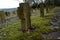 Stone crosses in memory of the German soldiers who died in World War II