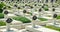 Stone crosses of the old military cemetery at the Lychakiv cemetery in Lviv