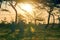 Stone crosses at sunset in German military cemetery, Europe