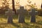 Stone crosses at sunset in German military cemetery, Europe