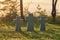 Stone crosses at sunset in German military cemetery, Europe