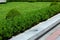 Stone curb along the pedestrian pavement.