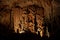 The stone curtain into the huge cavern of Orgnac Aven