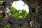 A stone cylinder shaped building in the forest covered with colorful graffiti surrounded by lush green trees at Lullwater Preserve