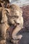Stone decorated elephant head sculpture close-up