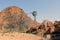 Stone desert with windmill - Namibia Africa