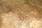Stone dirt road natural texture. High-resolution nature background
