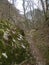 Stone and earth path through the forest, fallen leaves on the ground, rocks covered with moss, quiet, quiet, autumn landscape for