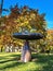 Stone exposition on the lawn among trees with yellowed leaves in autumn