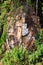 Stone face of Buddha by the Picturesque road in mountains of National park Bokor leading to Abandoned hotel Bokor Palace in Ghost