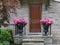 stone faced traditional house with flower pots of bright hydrangea flowers