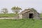 Stone farmer`s cottage in a green cereal field with two almond trees