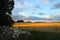 Stone fence by the lovely cornfield