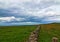 Stone fence in the pasture lands near the Cliffs of Moher in Country Clare